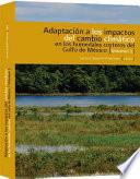 Adaptación a los impactos del cambio climático en los humedales costeros del Golfo de México. Volumen I