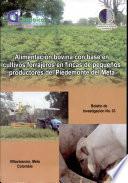 Alimentacion Bovina Con Base en Cultivos Forrajeros en Fincas de Pequenos Productores Del Piedemonte Del Meta