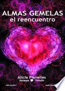 ALMAS GEMELAS, EL REENCUENTRO