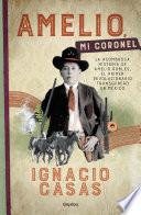Amelio, mi coronel