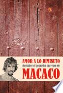 Amor a lo diminuto