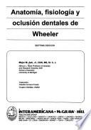 Libro Anatomía, fisiología y oclusión dentales de Wheeler, séptima edición