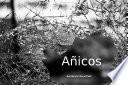 Añicos