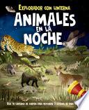 Animales En La Noche