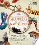 Animales Fantásticos Maravillas de la Naturaleza / Fantastic Animals, Wonders of Nature