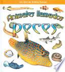 Animales Ilamados Peces
