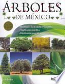 Arboles de Mexico / Trees of Mexico