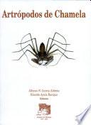 Artropodos de Chamela / Chamela Arthropods