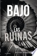 Libro Bajo las ruinas