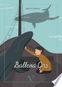 Ballena gris