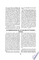 Boletín