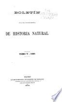 Boletín