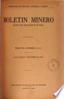 Boletin minero