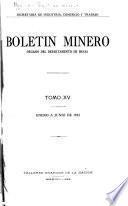 Boletin minero