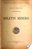 Boletin Minero. Organo del Dept. de Minas