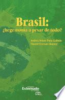 Brasil: ¿hegemonía a pesar de todo?