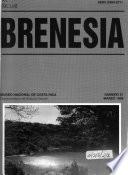 Brenesia