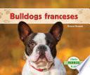 Bulldogs franceses (French Bulldogs ) (Spanish Version)