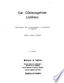 Cai cúeiacagafuiai llotínico