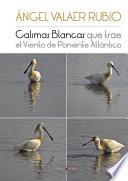 Calimas Blancas que trae el Viento de Poniente Atlántico