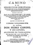 Camino a la perfeccion christiana