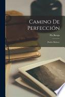 Camino De Perfección