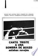 Canto triste a una sombra de boxeo