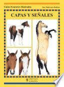 Capas y señales