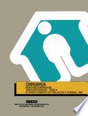 Chihuahua. Resultados definitivos. Tabulados básicos. XI Censo General de Población y Vivienda, 1990. Tomo II