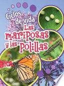 Ciclos de vida de las mariposas y las polillas / Life Cycles of Butterflies and Moths