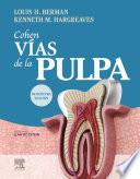 Cohen. Vías de la Pulpa