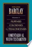 Comentario al Nuevo Testamento Vol. 11