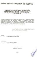 COMPORTAMIENTO DE TRES PORTAINJERTOS Y DOS COPAS EN VASCONCELLEAS DE ALTURA, PARA LA PRODUCCION DE PLANTAS INJERTAS DE BABACO (VASCONCELLEA X HEILBORNII CV. BABACO) Y CHAMBURO (VASCONCELLEA X HEILBORNII CV. CRYSOPETALA), EN EL CANTON GUALACEO, PROVINCIA DEL AZUAY
