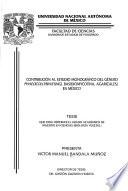 Contribución al estudio monográfico del género phaeocollybia (fungi, basidiomycotina, agaricales) en México