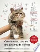 Convierte a Tu Gato en una Celebrity de Internet