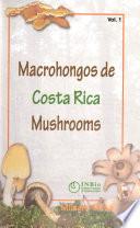 Costa Rica mushrooms