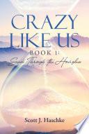 Crazy Like Us