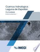 Cuenca hidrológica Laguna de Zapotlán. Humedales. Informe técnico