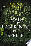 David y el laberinto del sprite