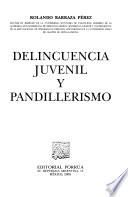 Delincuencia juvenil y pandillerismo