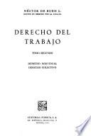 Derecho del trabajo: Derecho individual, derecho colectivo