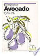 Descriptores Para Aguacate (Persea Spp.)