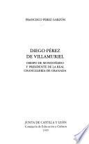 Diego Pérez de Villamuriel