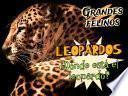 ¿Dónde está el leopardo?