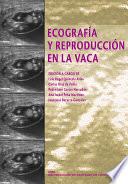 Ecografía y reproducción en la vaca