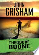 El activista (Theodore Boone 4)