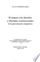 El amparo a los derechos y libertades constitucionales