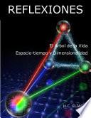 El Árbol de la Vida, espacio tiempo y dimensionalidad