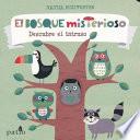 El Bosque Misterioso