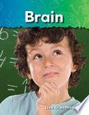 El cerebro (Brain) 6-Pack